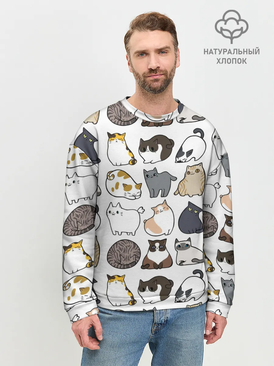 Мужской свитшот базовый / Котики