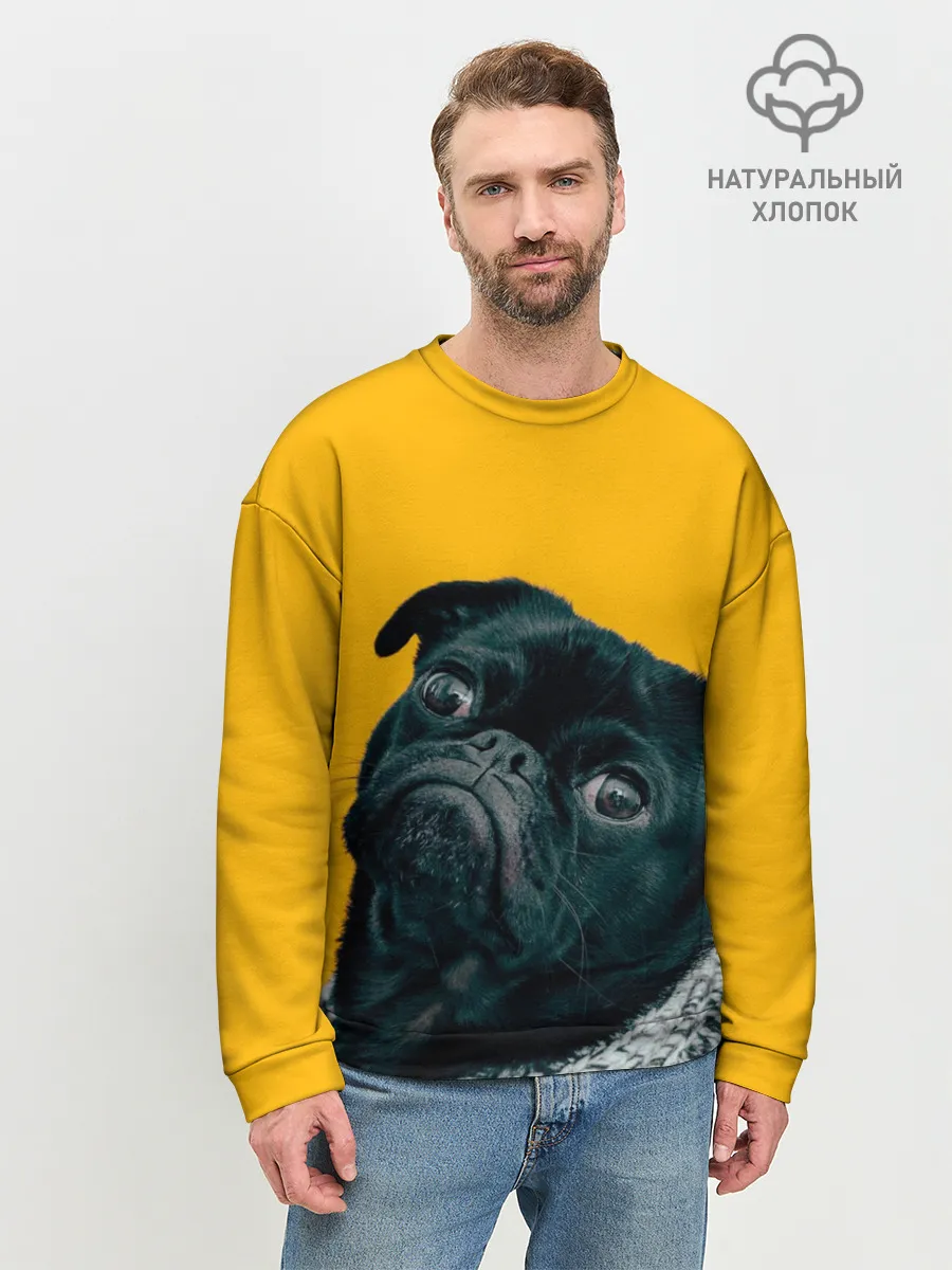 Мужской свитшот базовый / Бульдожка