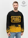 Мужской свитшот базовый / PUBG