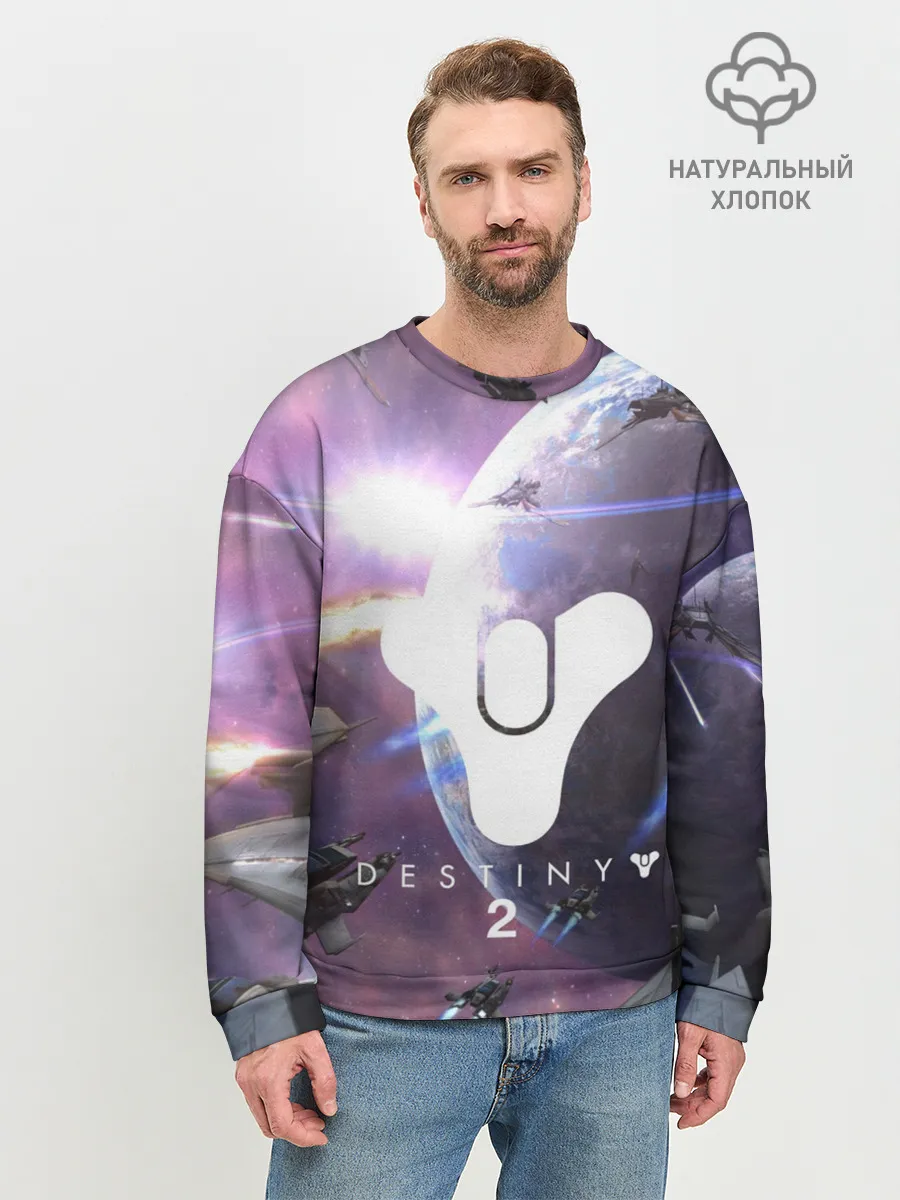 Мужской свитшот базовый / DESTINY 2