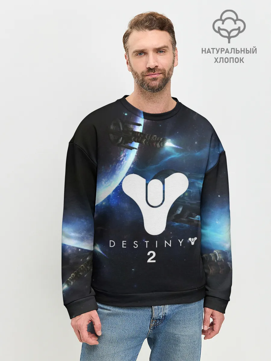 Мужской свитшот базовый / DESTINY 2