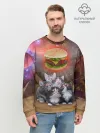 Мужской свитшот базовый / Египетские Коты
