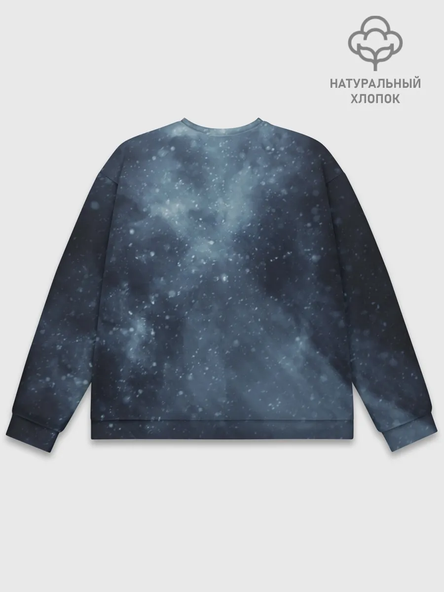 Мужской свитшот базовый / Пошлая Молли