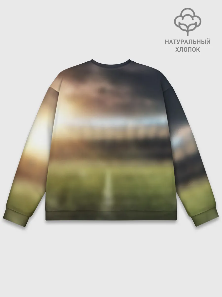 Мужской свитшот базовый / Чемпионы