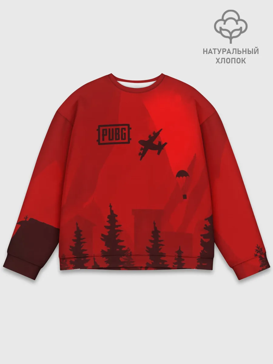 Мужской свитшот базовый / PUBG