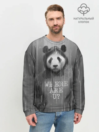 Мужской свитшот базовый / Панда