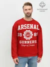 Мужской свитшот базовый / Арсенал