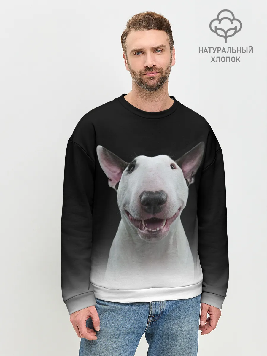 Мужской свитшот базовый / Oh snap!