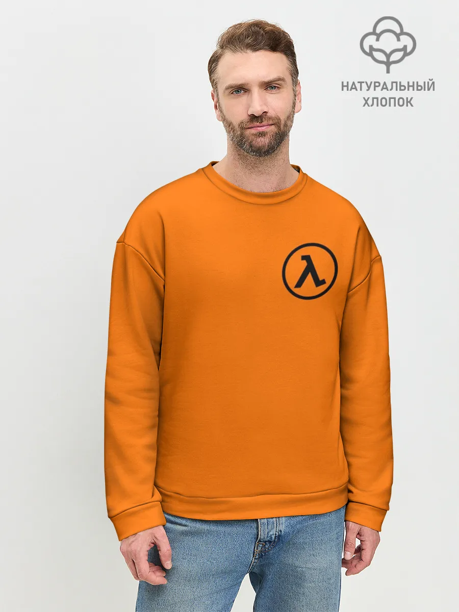 Мужской свитшот базовый / HALF-LIFE