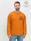 Мужской свитшот базовый / HALF-LIFE