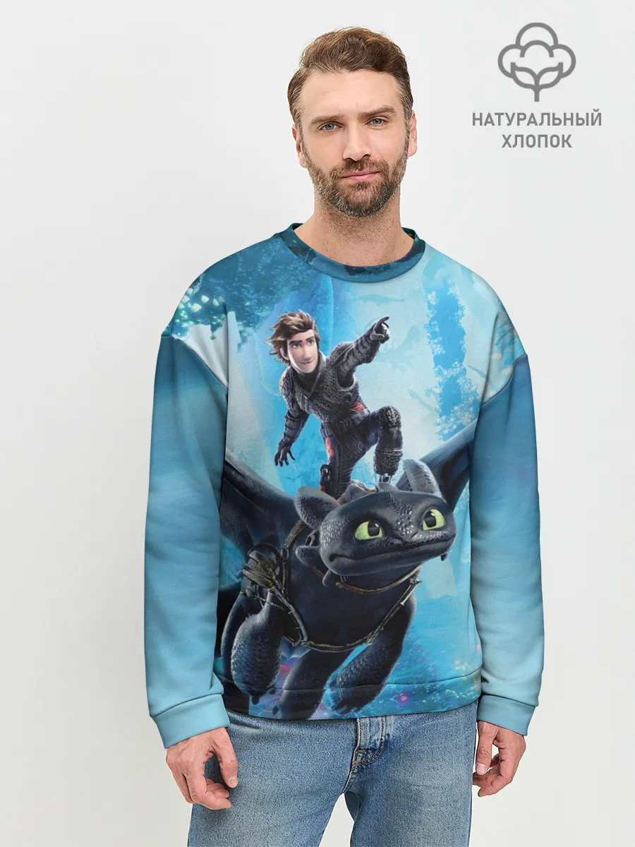 Мужской свитшот базовый / Как приручить дракона