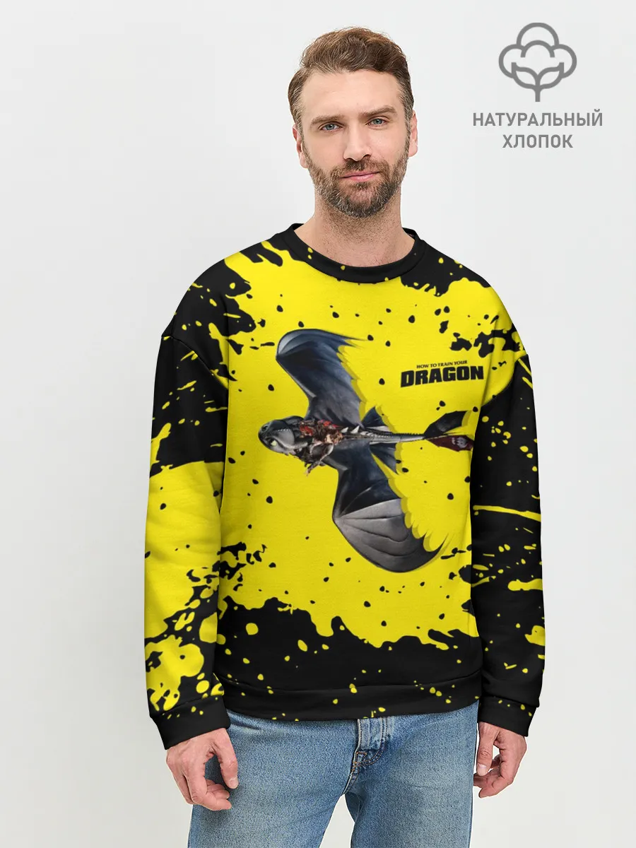 Мужской свитшот базовый / Как приручить дракона