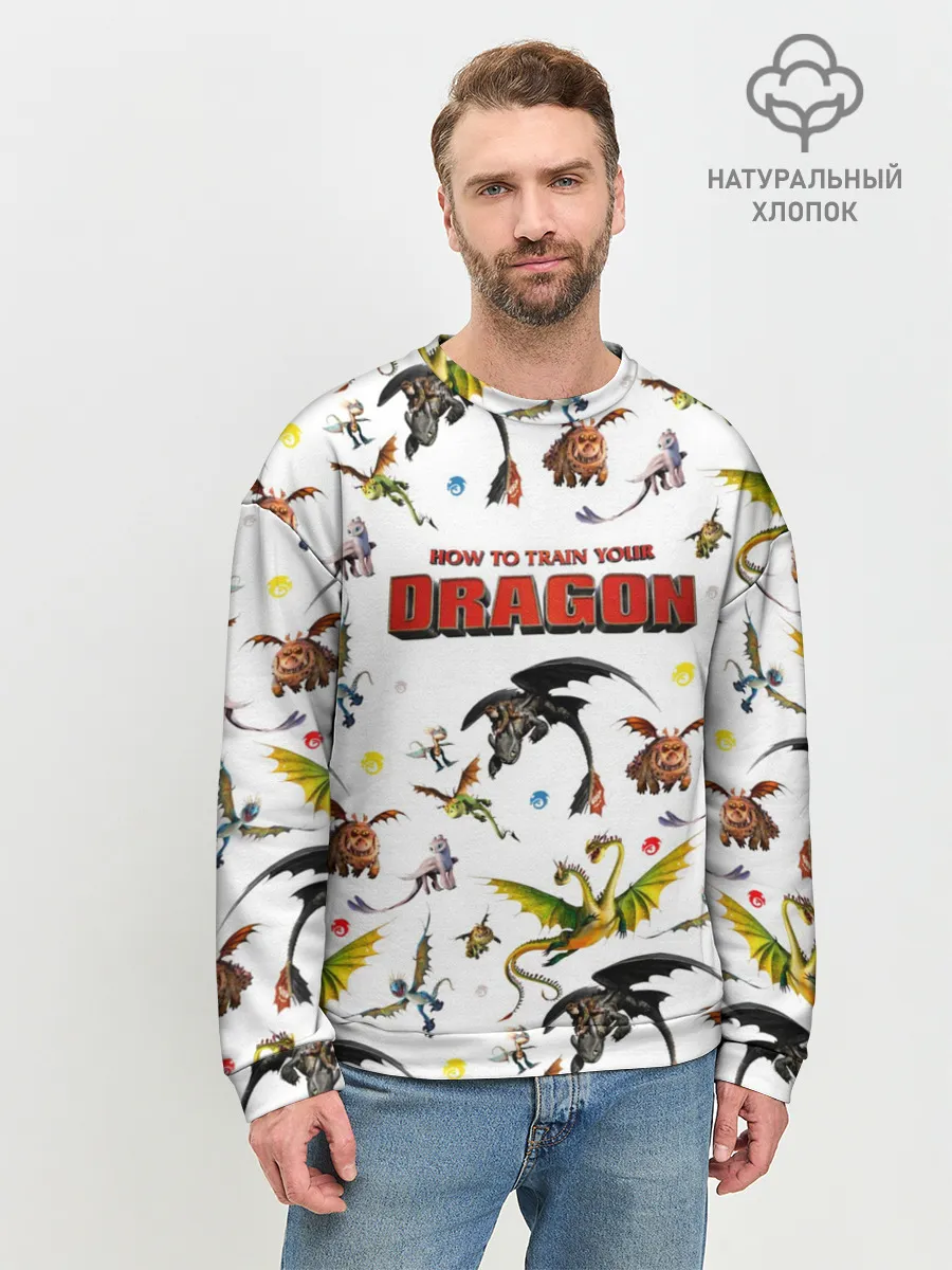 Мужской свитшот базовый / Как приручить дракона