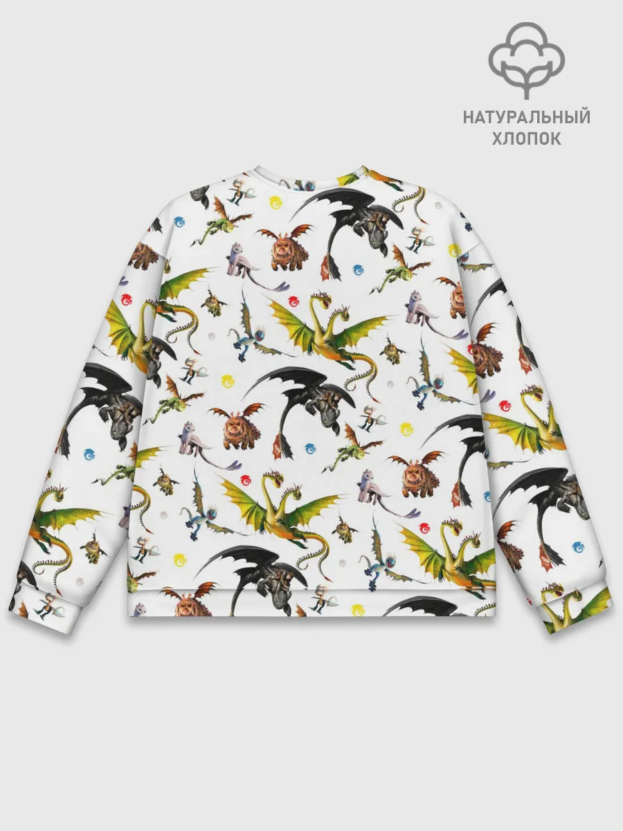 Мужской свитшот базовый / Как приручить дракона
