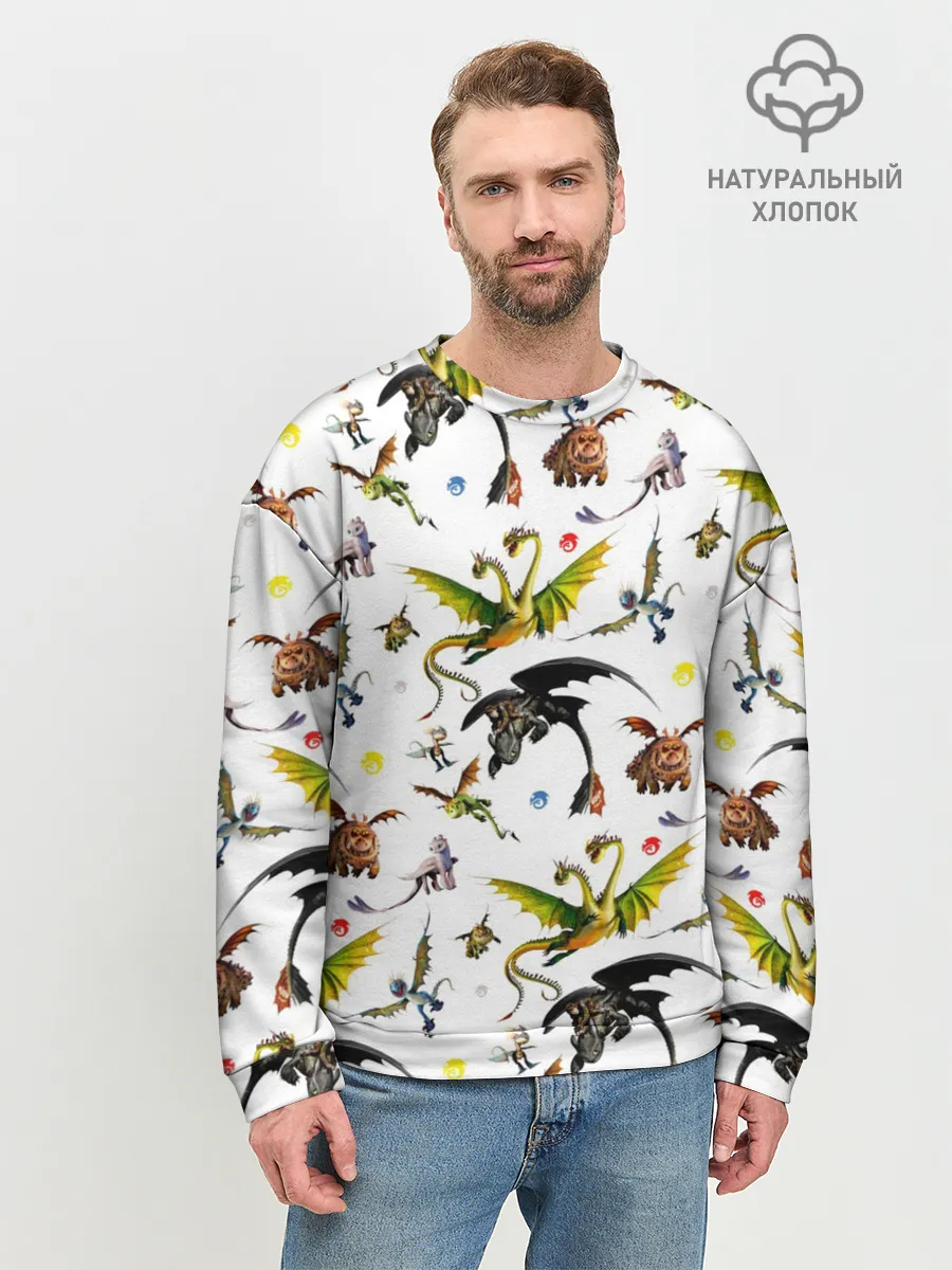 Мужской свитшот базовый / Как приручить дракона