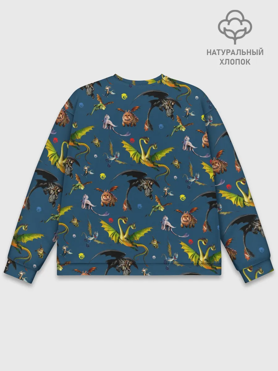 Мужской свитшот базовый / Как приручить дракона