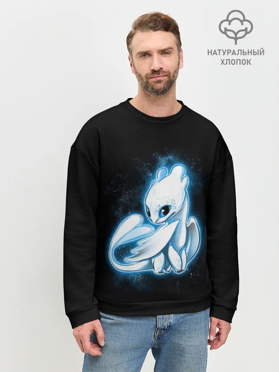 Мужской свитшот базовый / Фурия