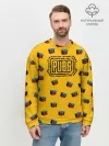 Мужской свитшот базовый / PUBG