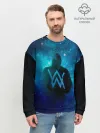 Мужской свитшот базовый / Alan Walker