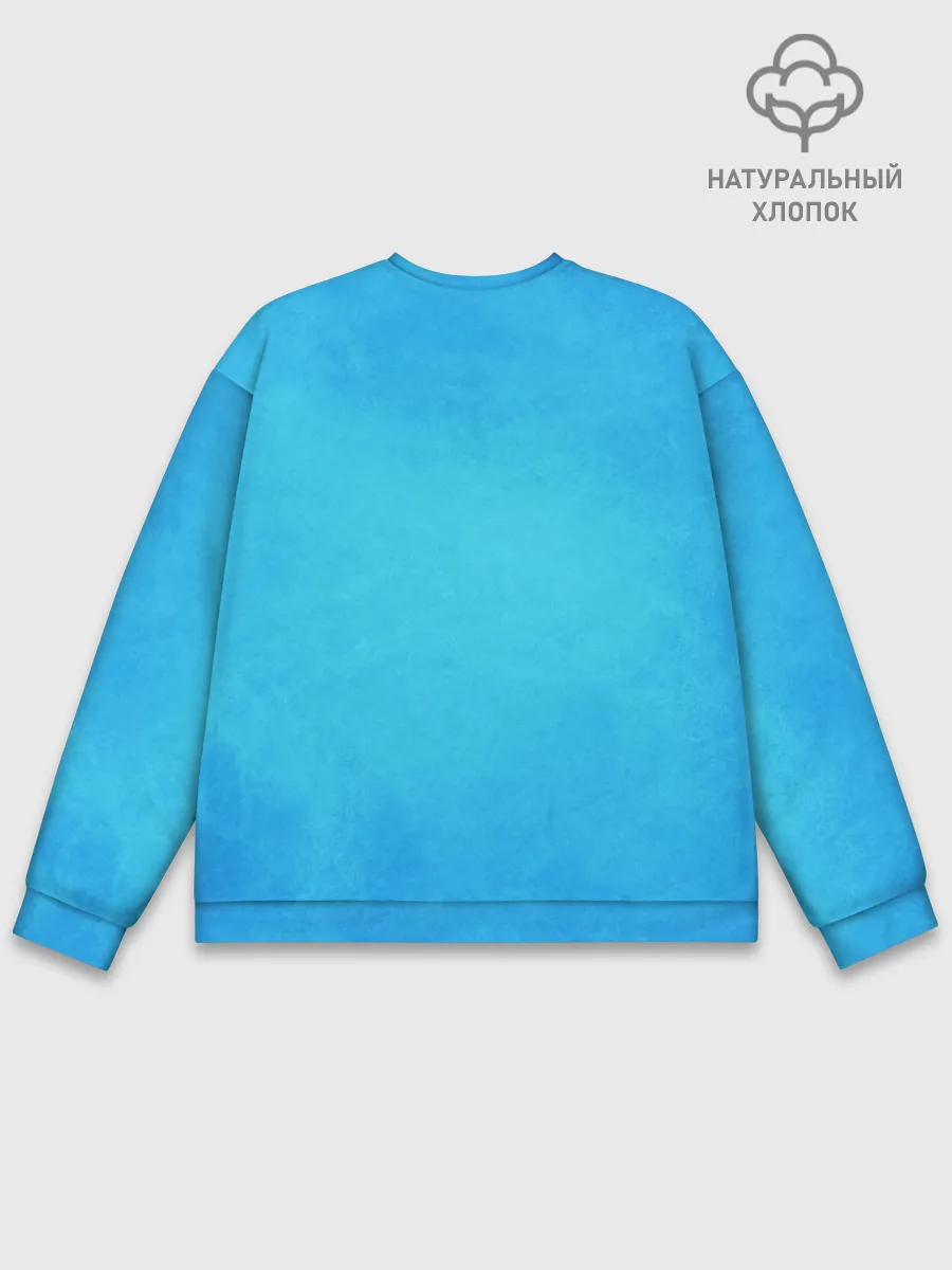 Мужской свитшот базовый / как приручить дракона