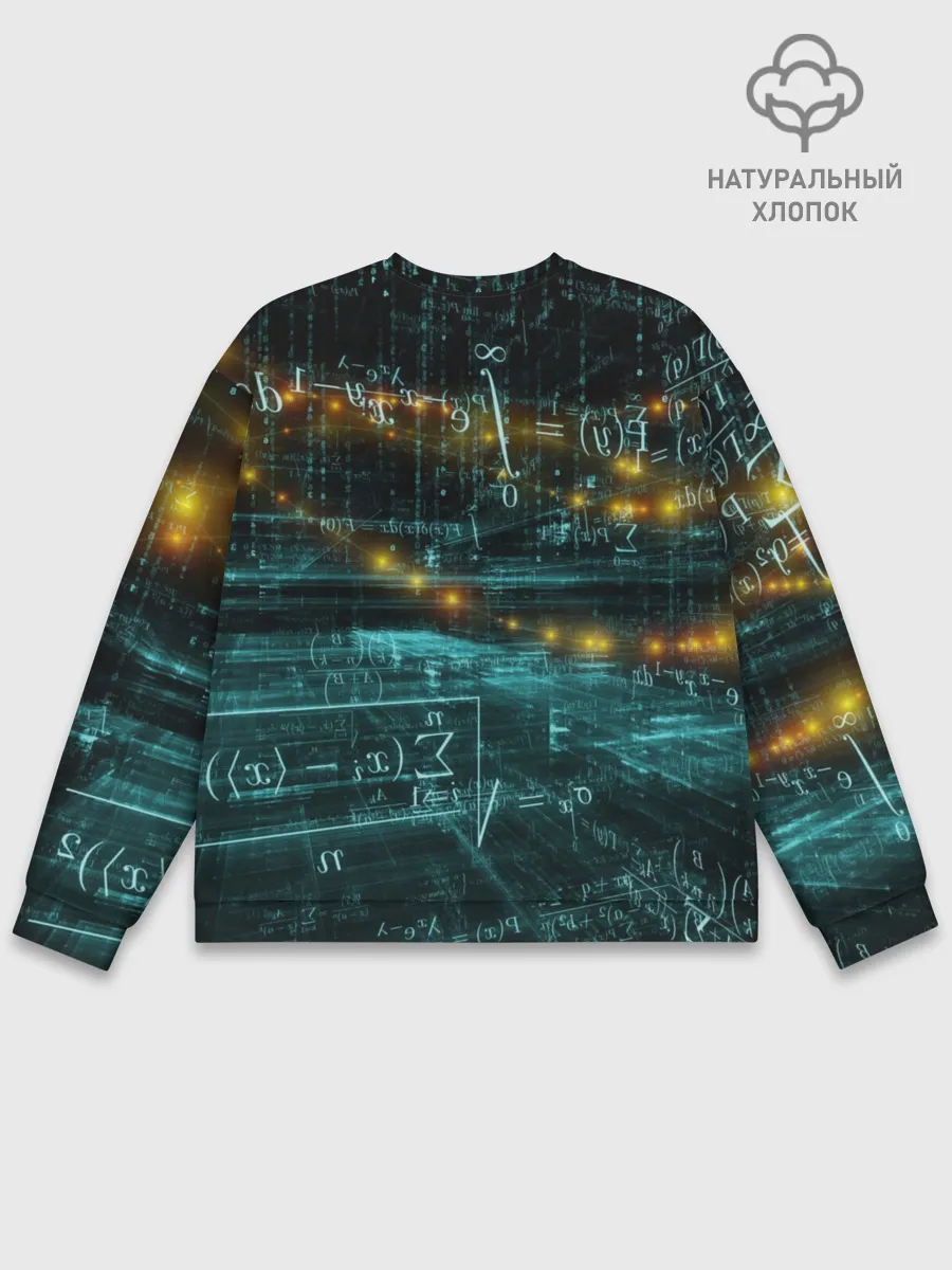 Мужской свитшот базовый / Формулы в пространстве