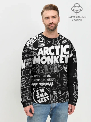 Мужской свитшот базовый / Arctic Monkeys
