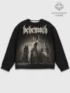 Мужской свитшот базовый / Behemoth