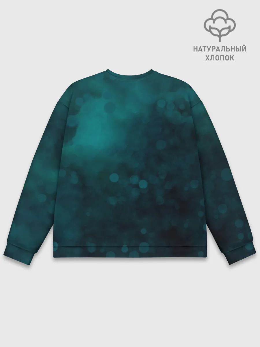 Мужской свитшот базовый / TOP. Chlorine. NED