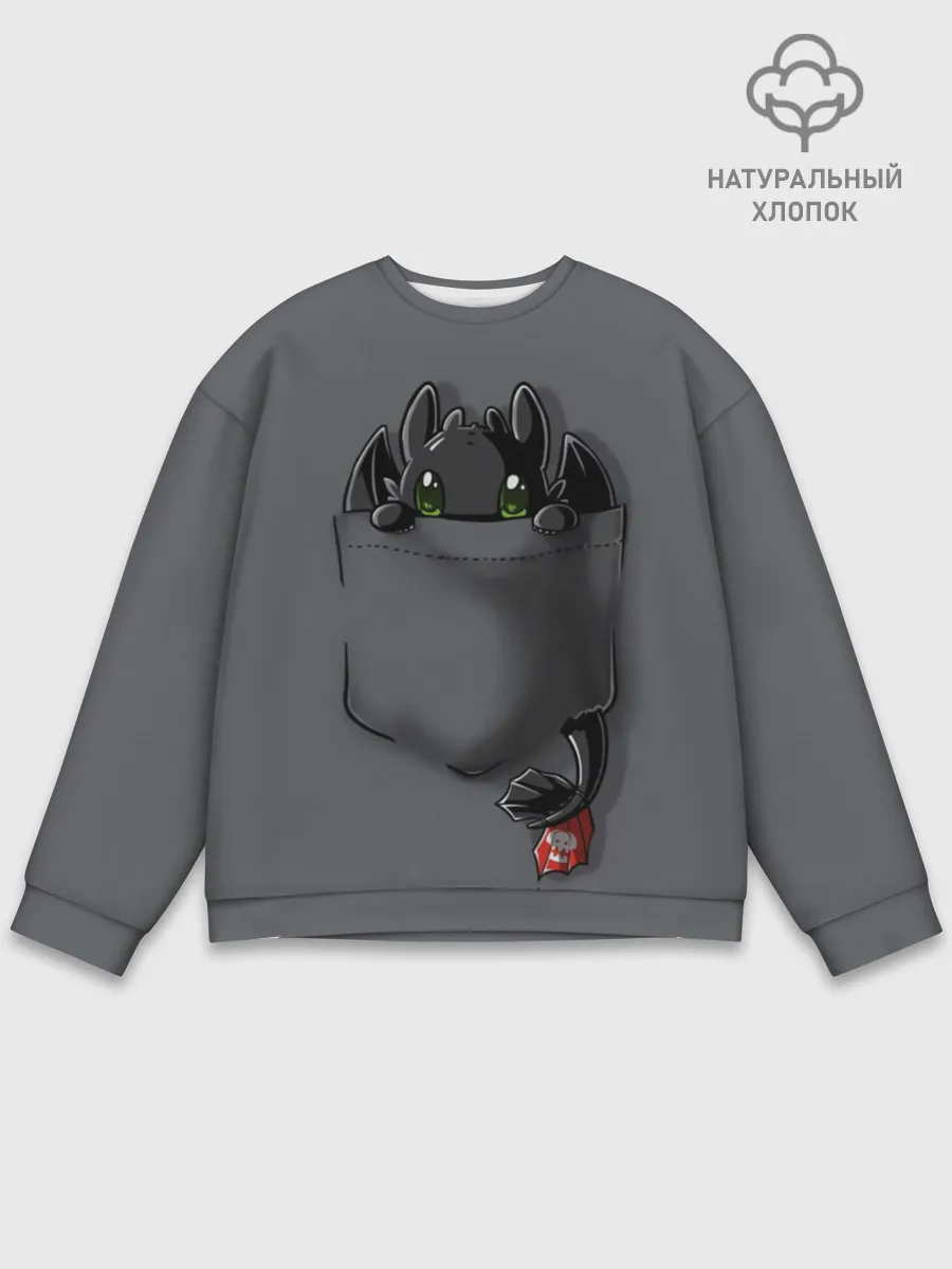 Мужской свитшот базовый / Как приручить дракона