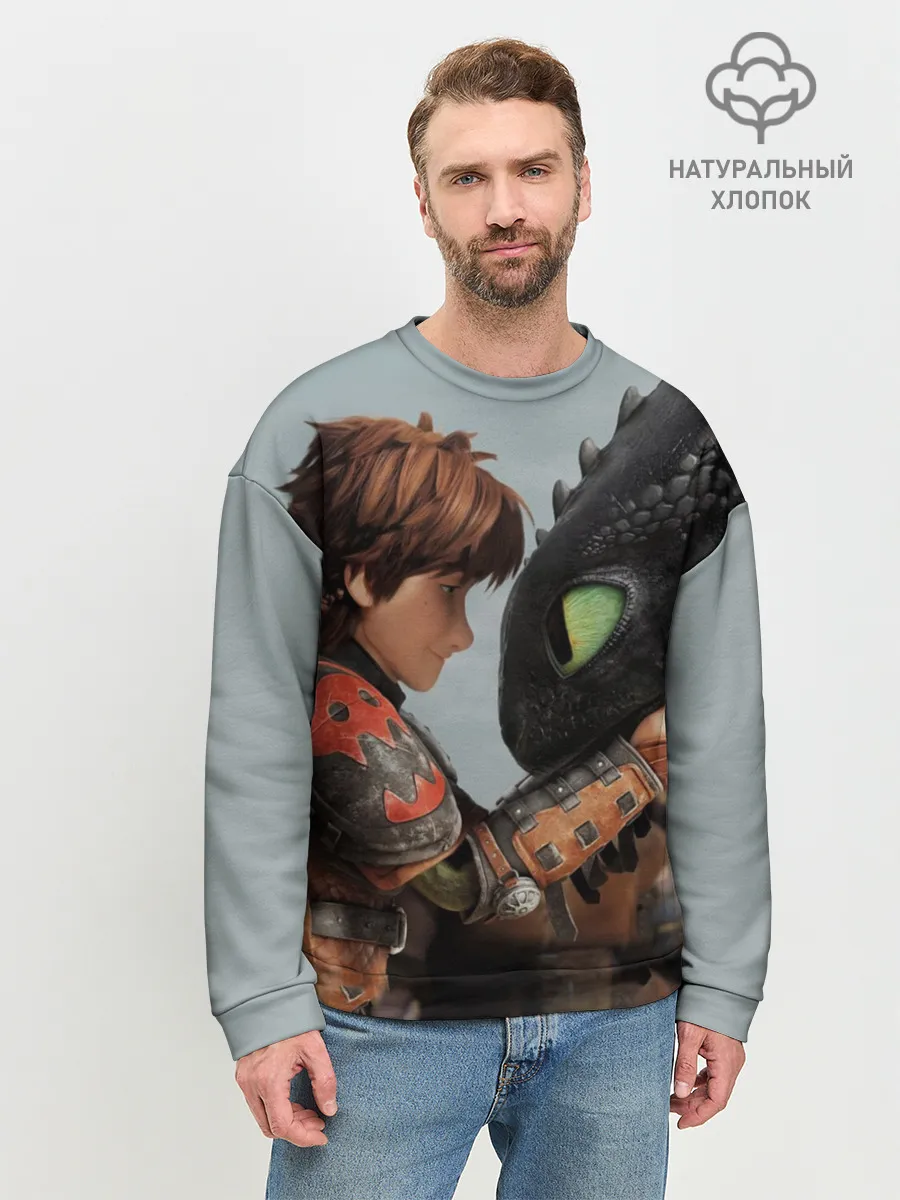 Мужской свитшот базовый / Как приручить дракона