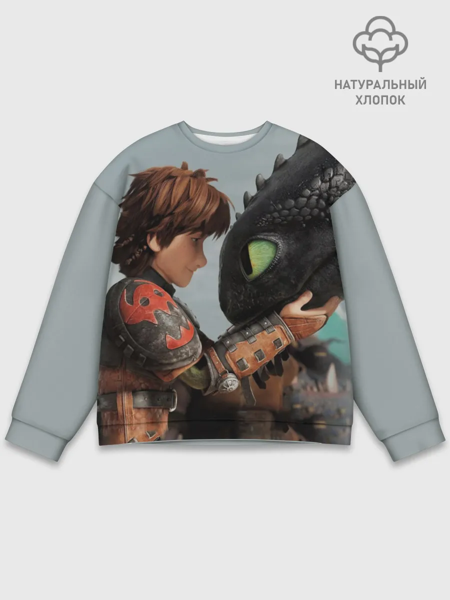 Мужской свитшот базовый / Как приручить дракона