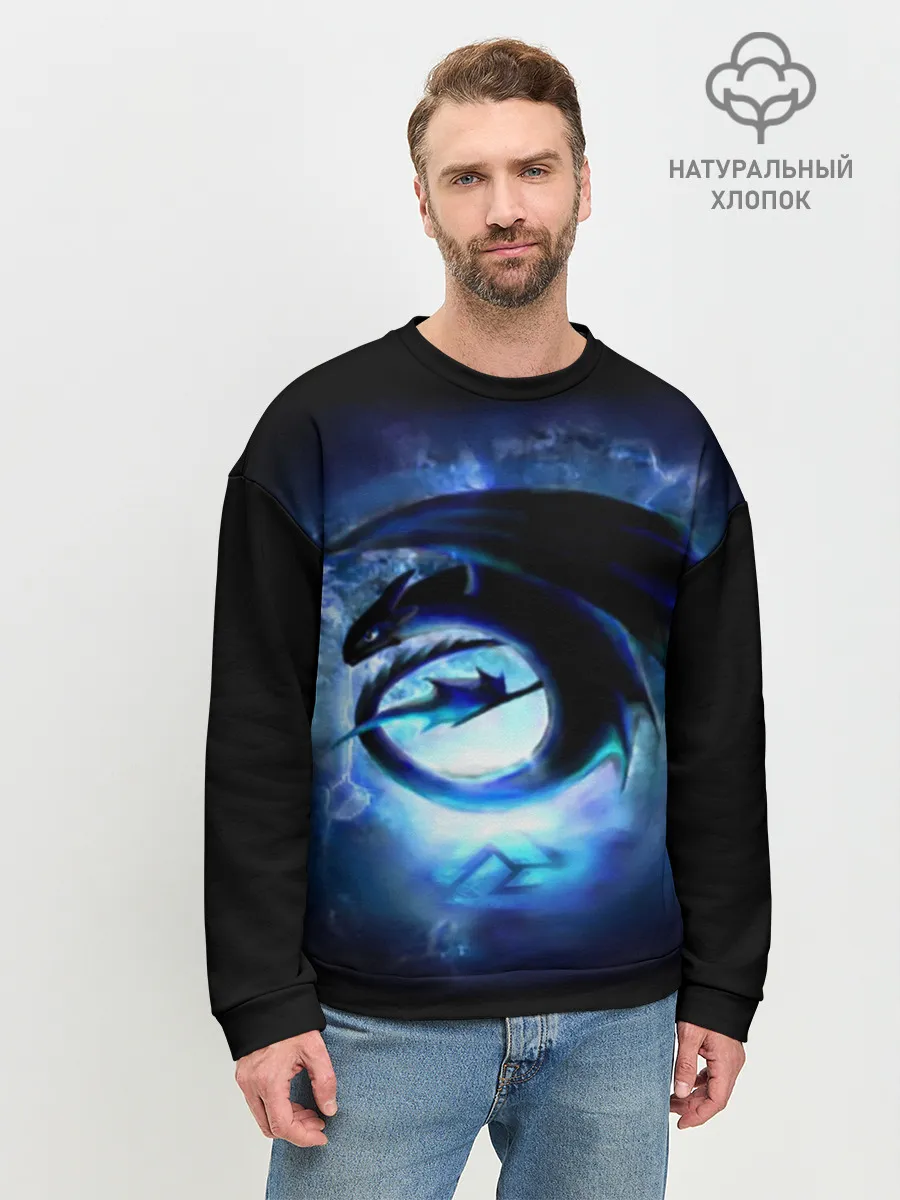 Мужской свитшот базовый / Night Fury