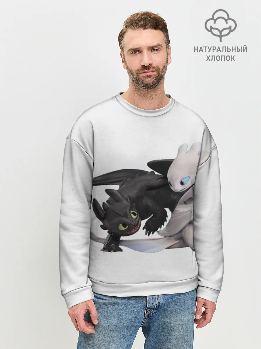 Мужской свитшот базовый / Как приручить дракона