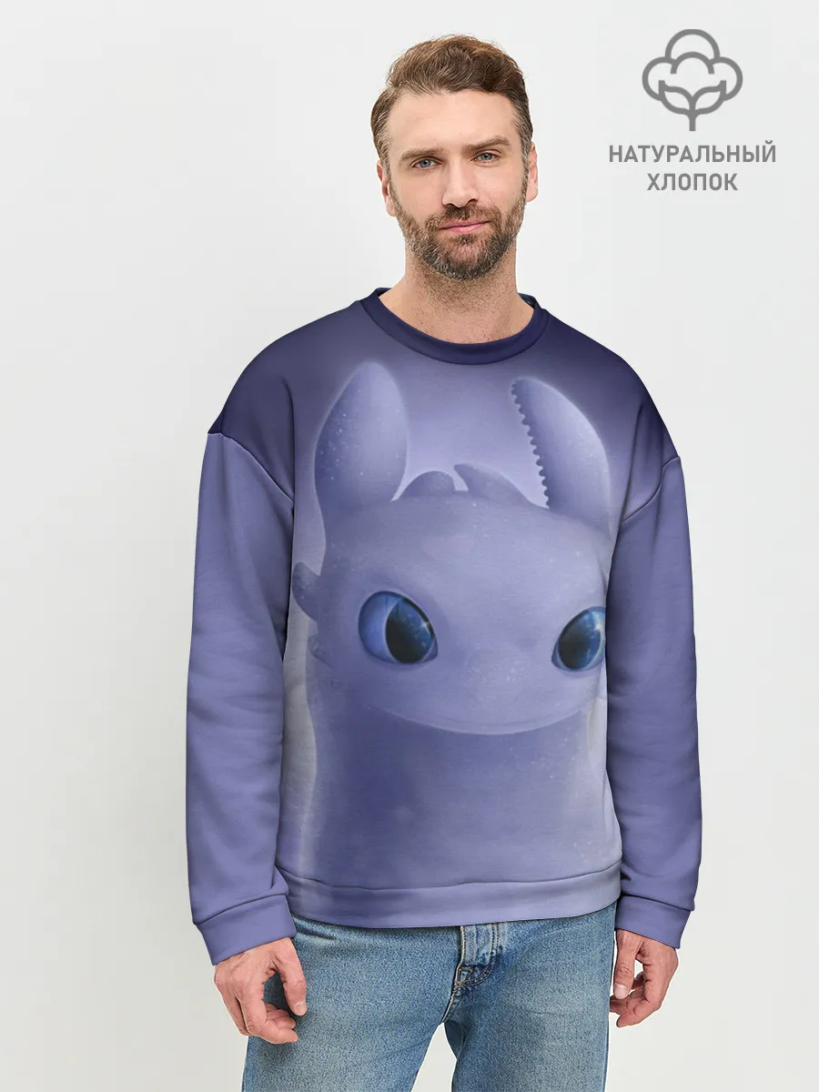 Мужской свитшот базовый / Как приручить дракона