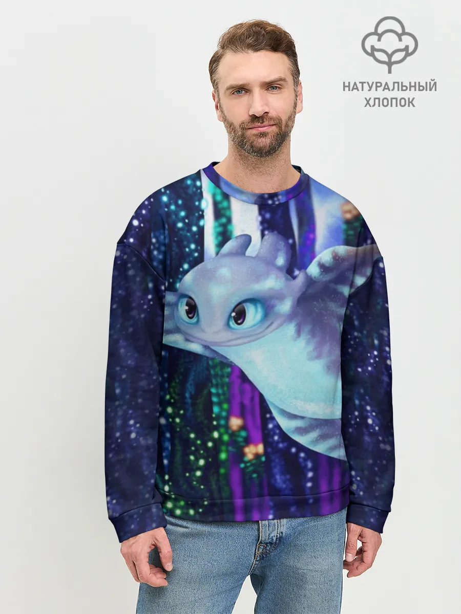 Мужской свитшот базовый / Как приручить дракона