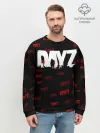 Мужской свитшот базовый / DAYZ