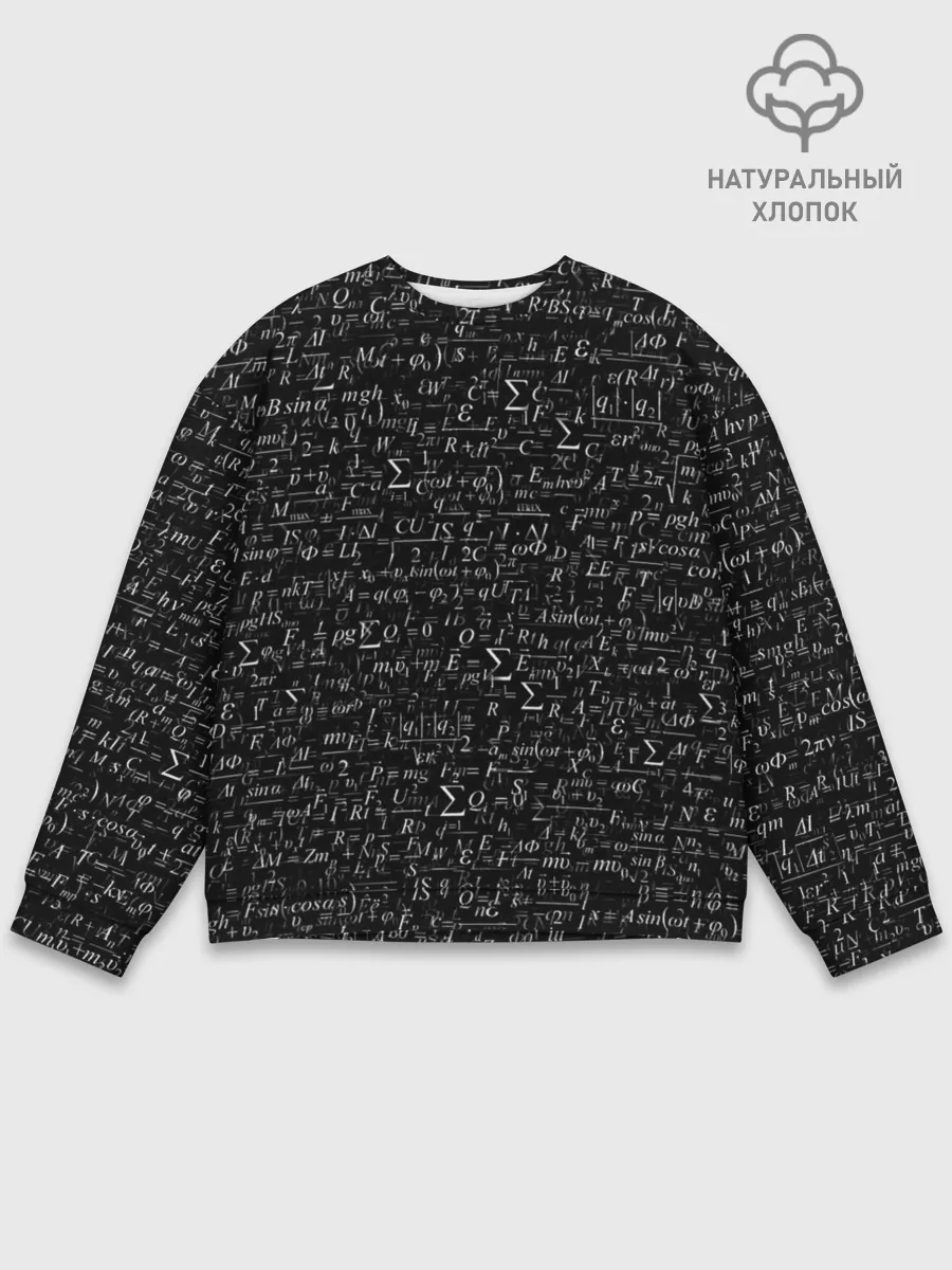 Мужской свитшот базовый / Формулы по физике