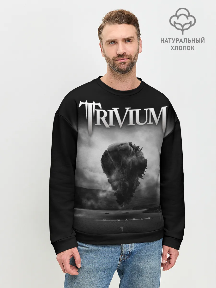 Мужской свитшот базовый / Trivium