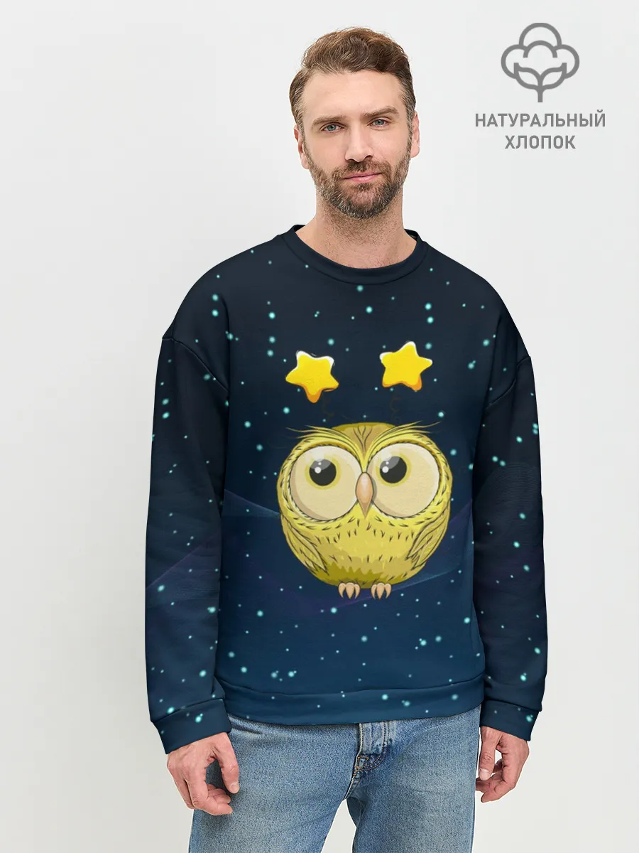 Мужской свитшот базовый / Сова со звездочками