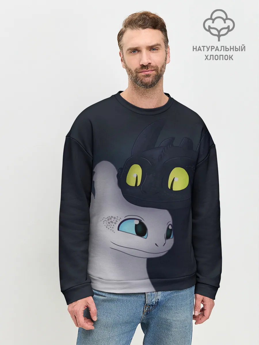 Мужской свитшот базовый / Как приручить дракона