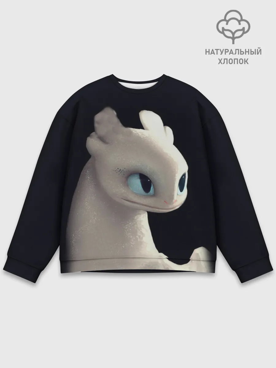 Мужской свитшот базовый / Как приручить дракона