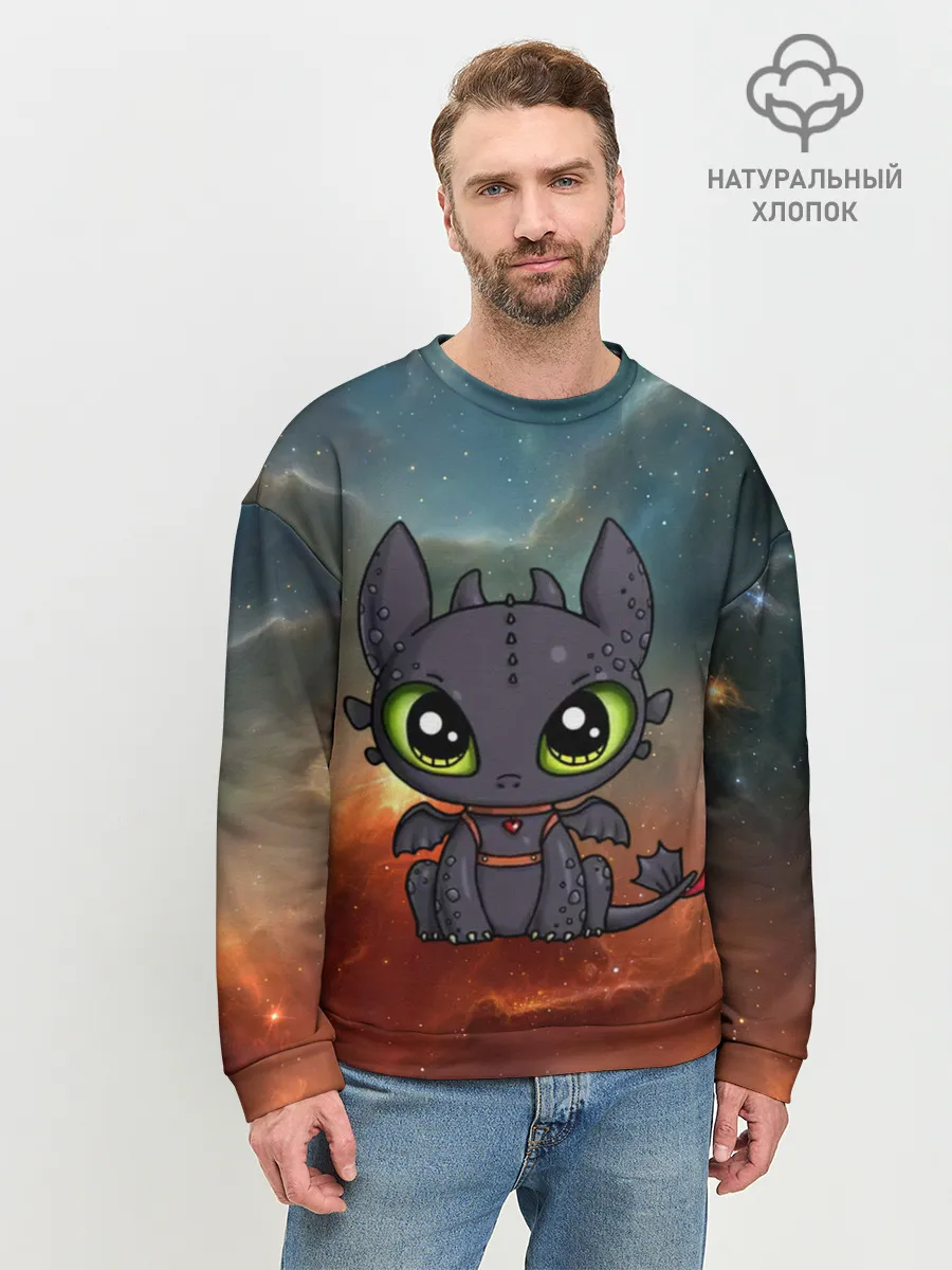 Мужской свитшот базовый / ночная фурия