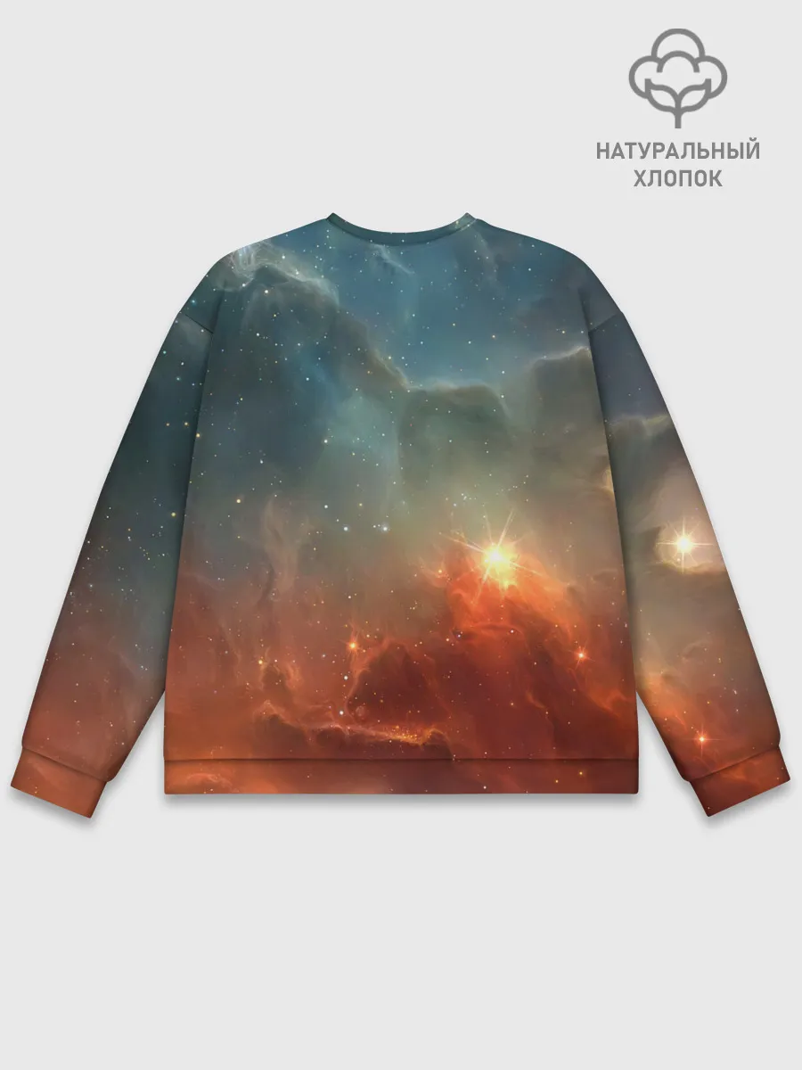 Мужской свитшот базовый / ночная фурия