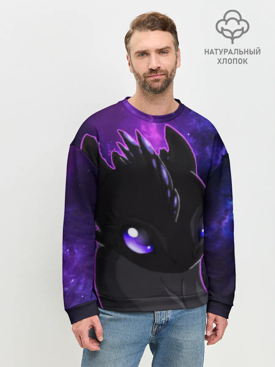 Мужской свитшот базовый / ночная фурия