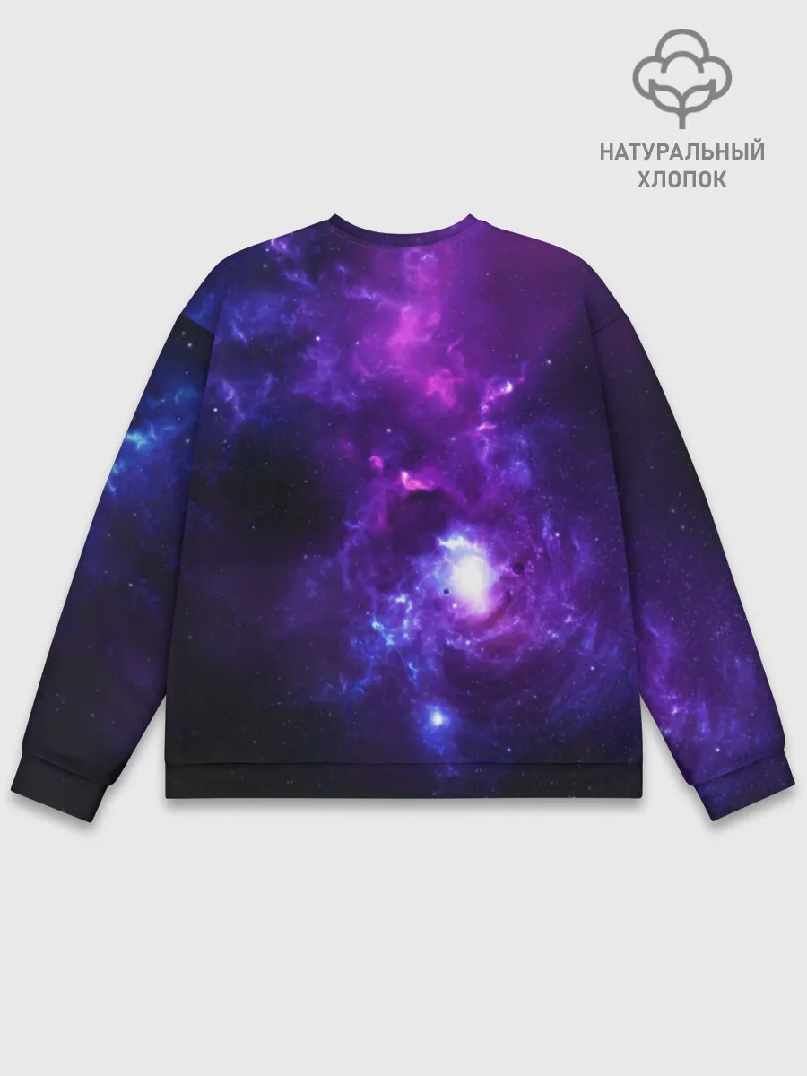 Мужской свитшот базовый / ночная фурия