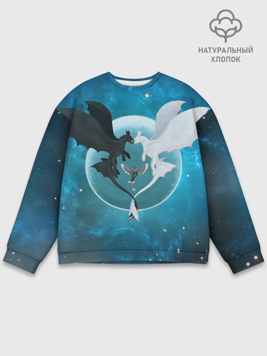 Мужской свитшот базовый / ночная фурия