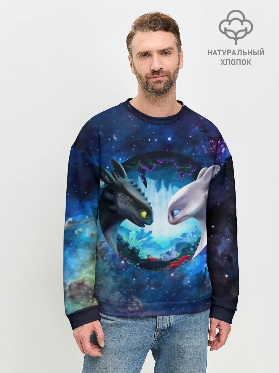 Мужской свитшот базовый / ночная фурия