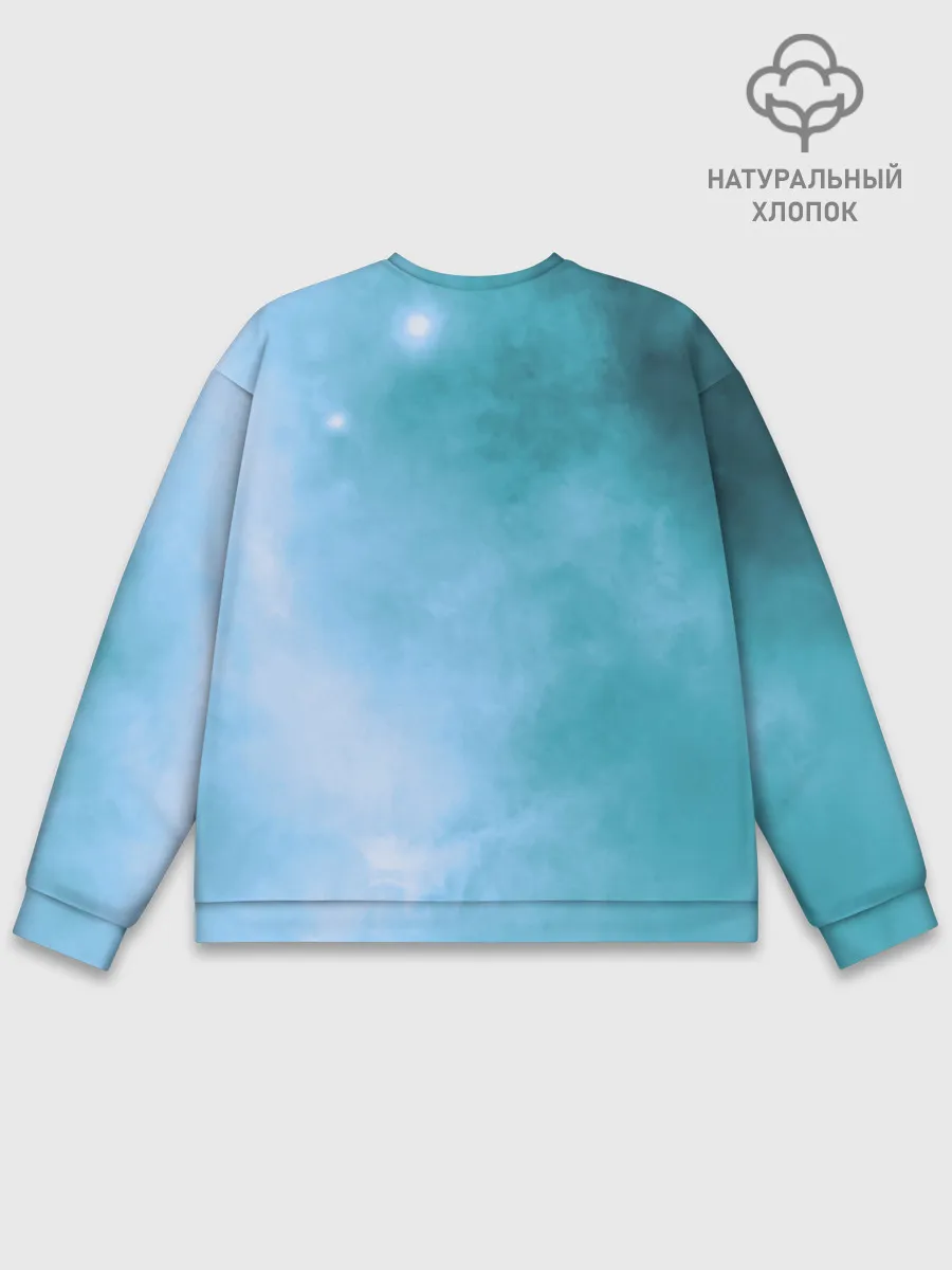 Мужской свитшот базовый / дневная фурия