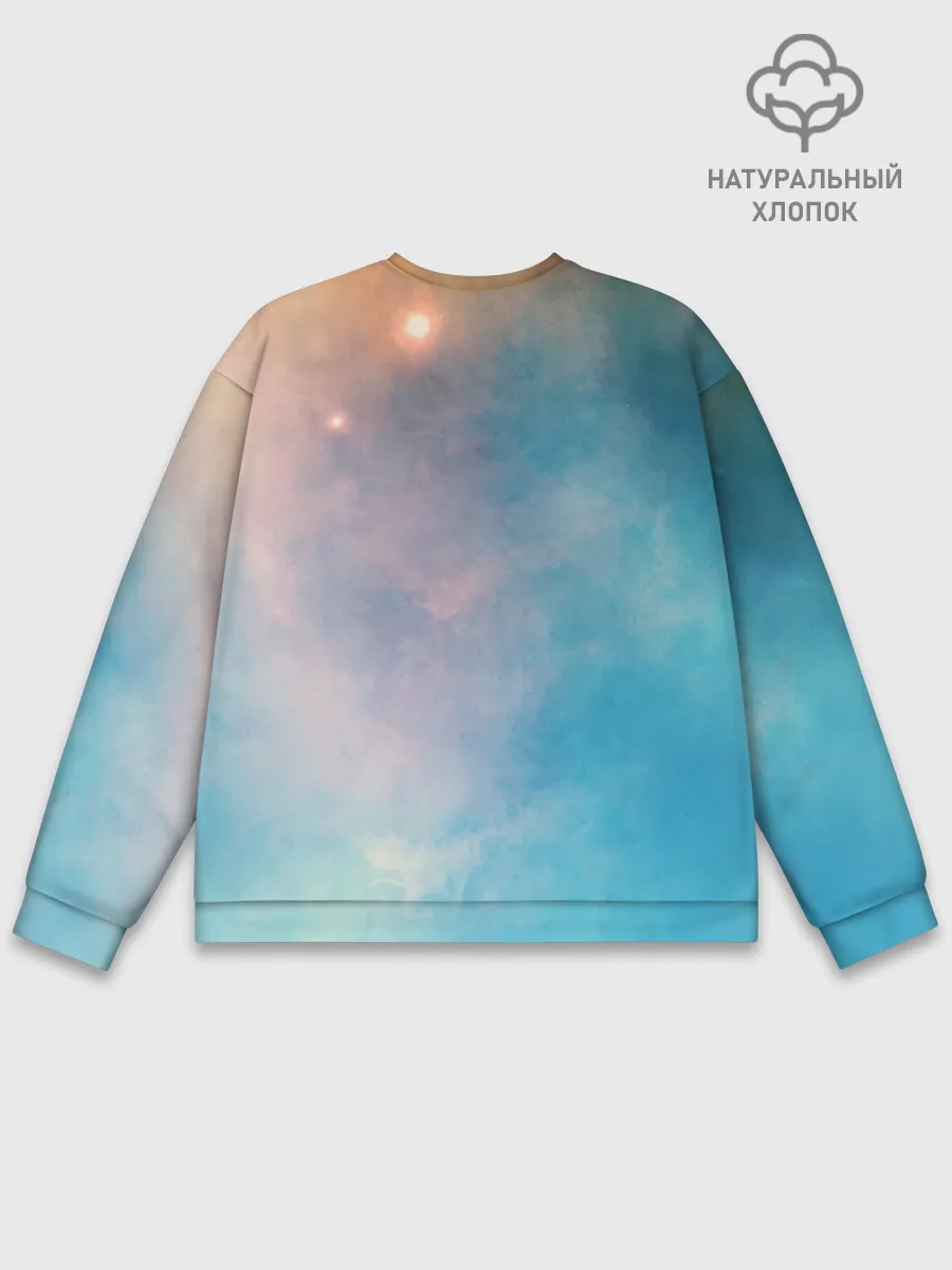 Мужской свитшот базовый / ночная фурия