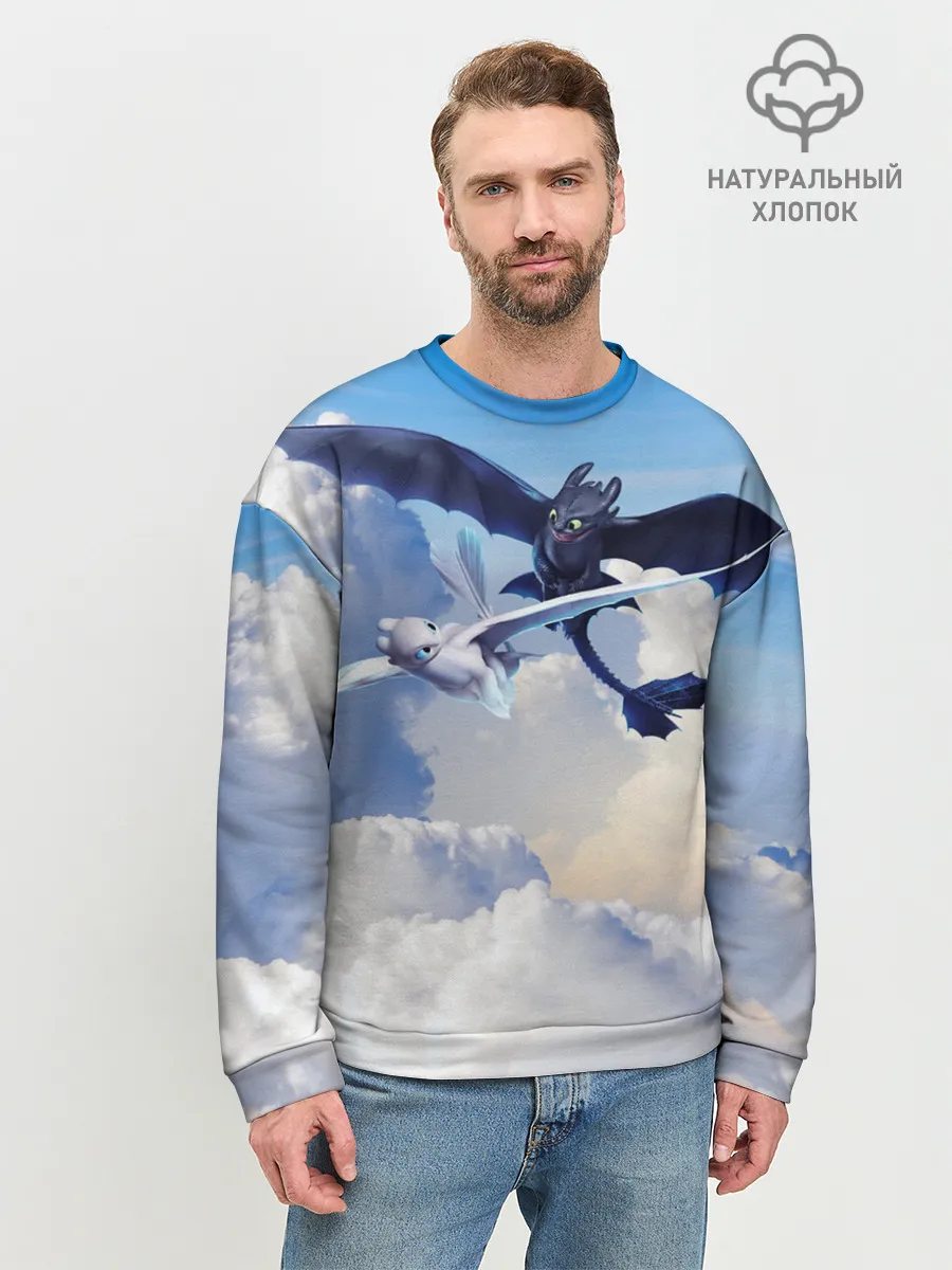 Мужской свитшот базовый / Night Fury